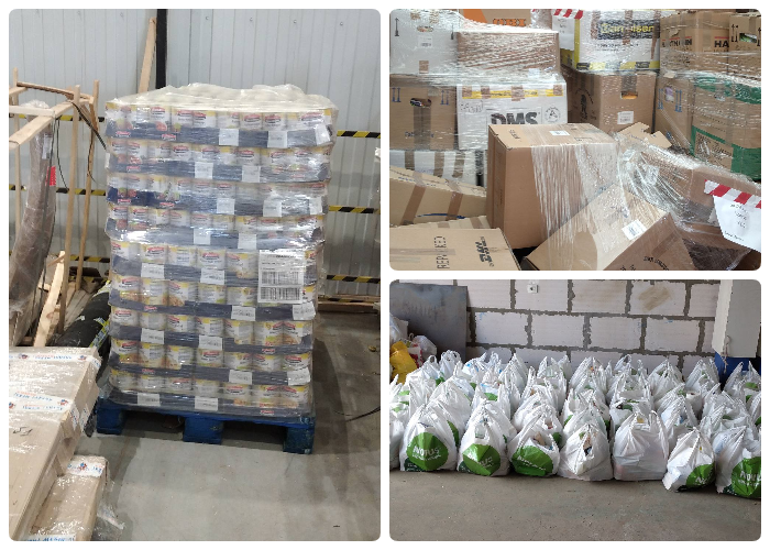 DTEAM FOUNDATION begins its humanitarian mission