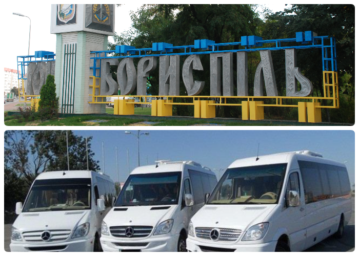 Assistance with the relocation of Boryspil residents